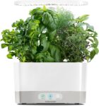 Top 10 Best Herb Gardens 2026