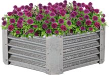 Top 10 Best Raised Garden Beds 2026